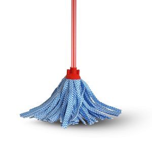 Fregona Ideal Microfibra con Cabo